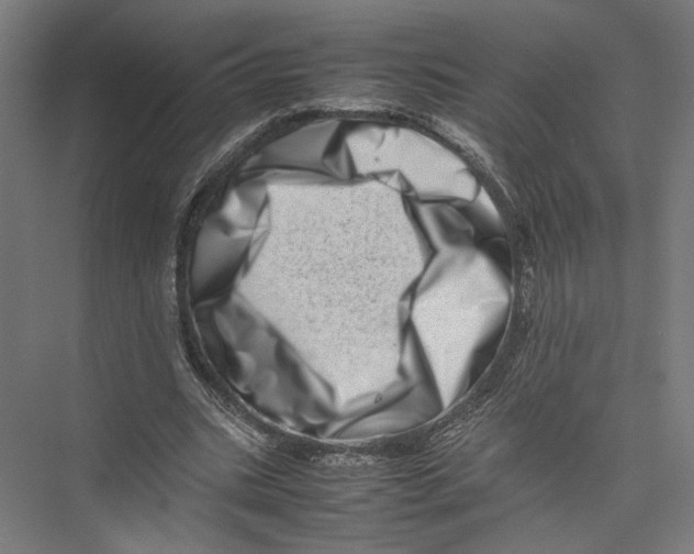 X0000075360535200610061749