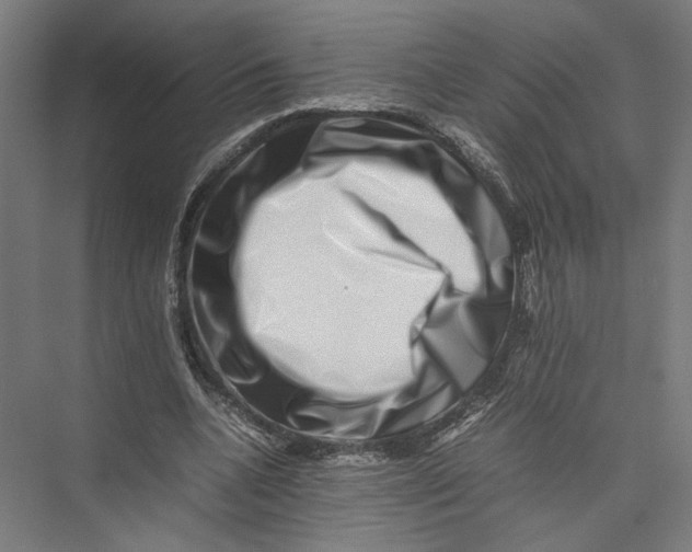 X0000075360536200610061749