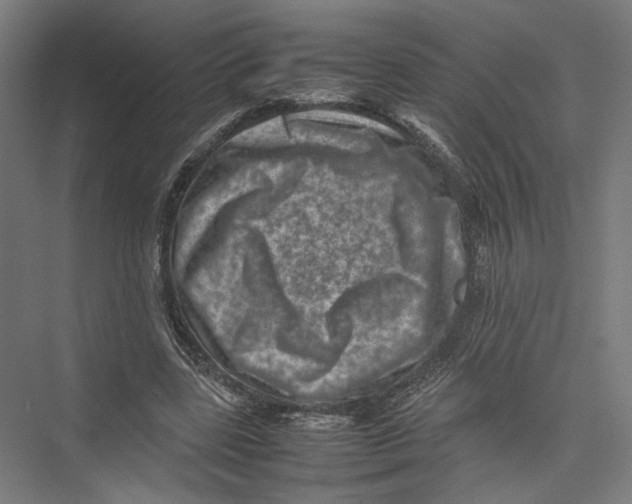 X0000075360539200610061749