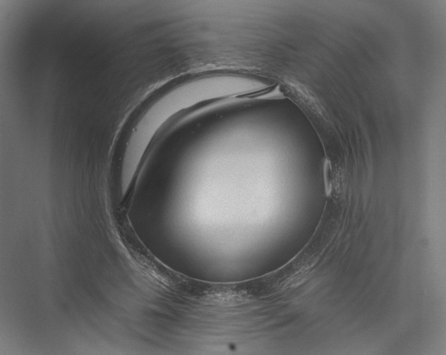 X0000075360540200610061749