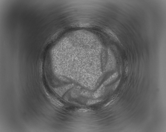 X0000075360542200610061749