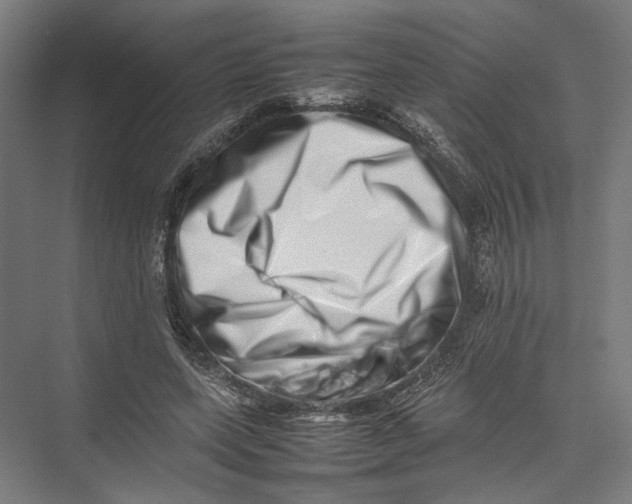 X0000075360543200610061749