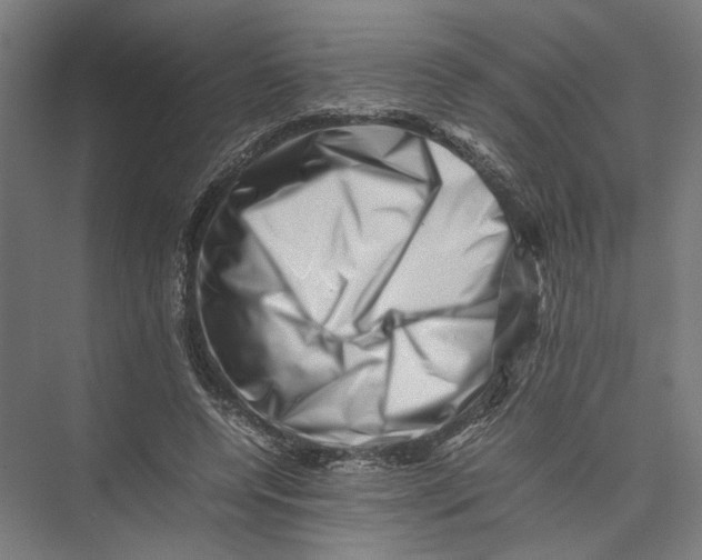 X0000075360544200610061749