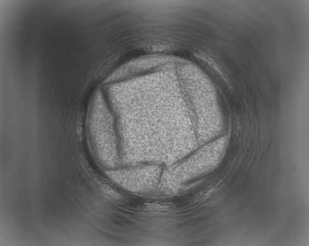 X0000075360545200610061749