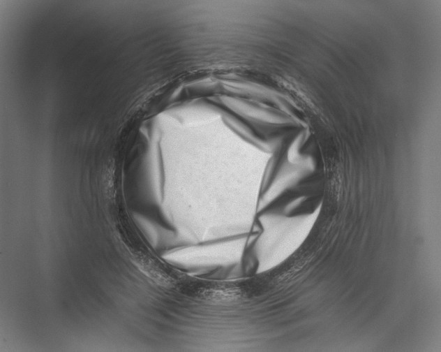 X0000075360548200610061749