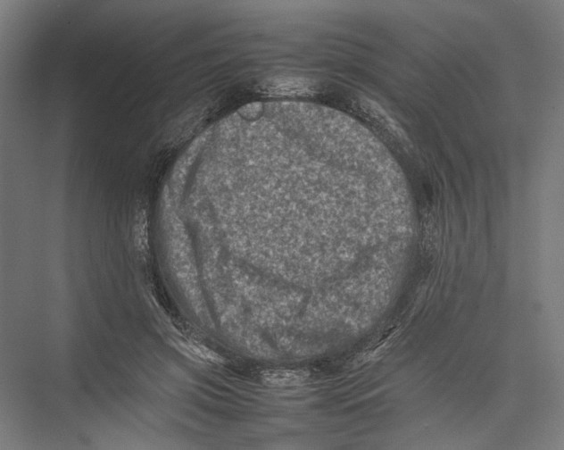 X0000075360549200610061749