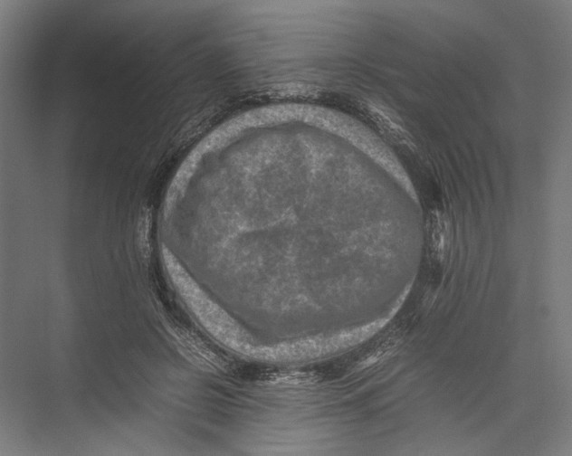 X0000075360550200610061749