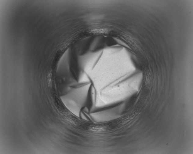 X0000075360551200610061749