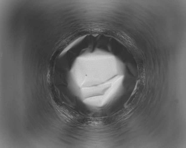 X0000075360552200610061749