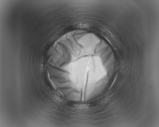 X0000075360553200610061749