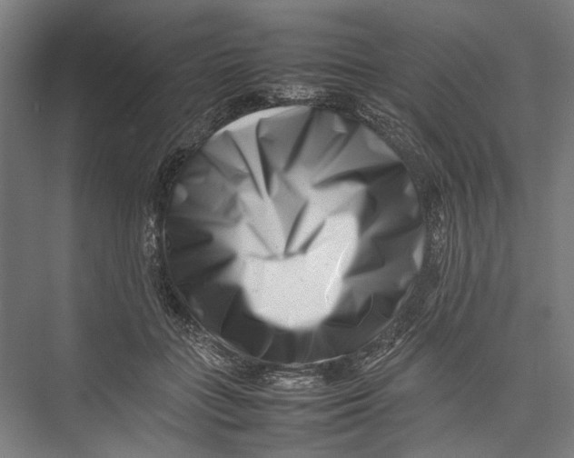 X0000075360555200610061749