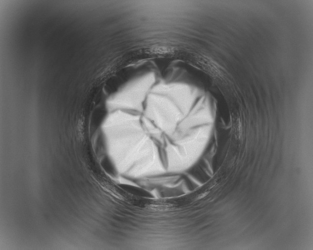 X0000075360556200610061749