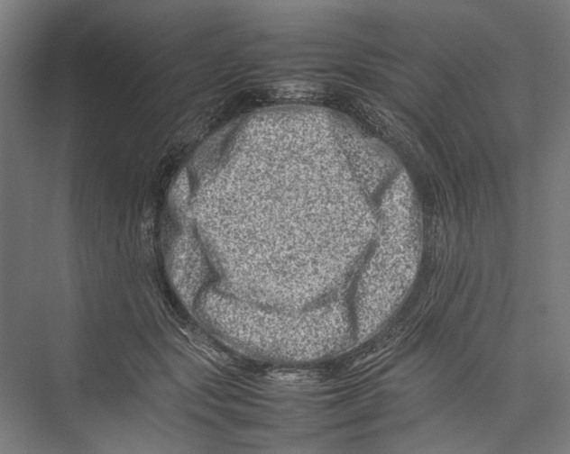 X0000075360557200610061749