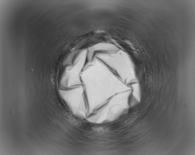 X0000075360561200610061750