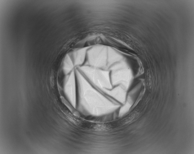 X0000075360562200610061750