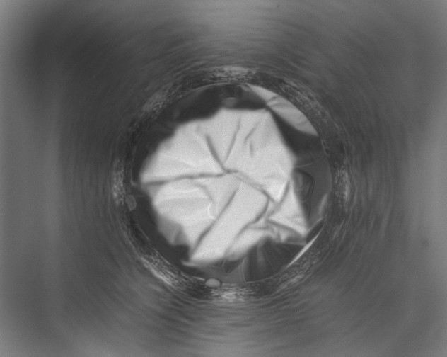 X0000075360564200610061750