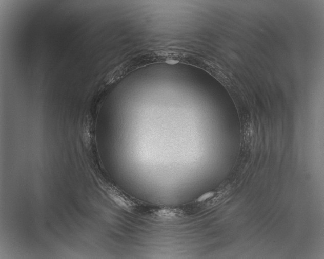 X0000075360566200610061750