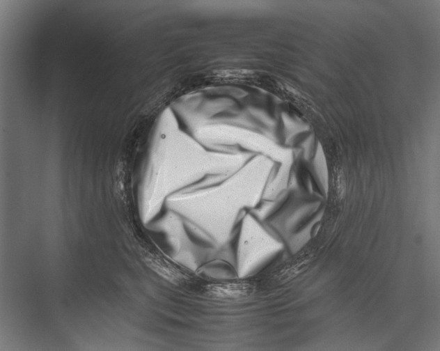 X0000075360567200610061750