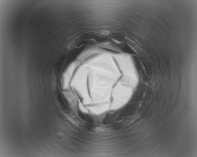 X0000075360568200610061750