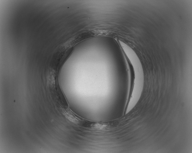 X0000075360570200610061750