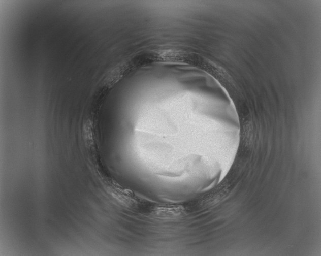 X0000075360571200610061750