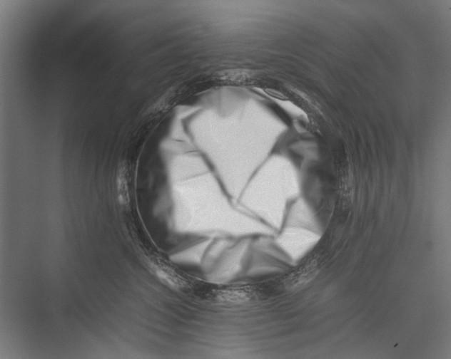 X0000075360572200610061750