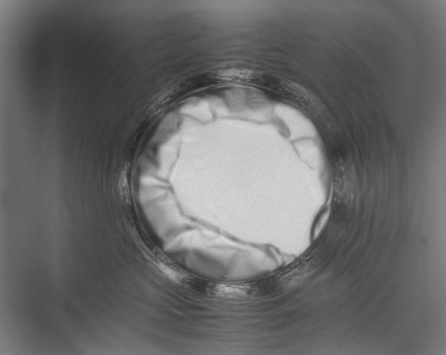 X0000075360573200610061750