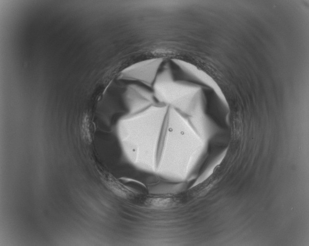 X0000075360575200610061750