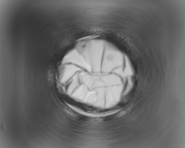 X0000075360576200610061750