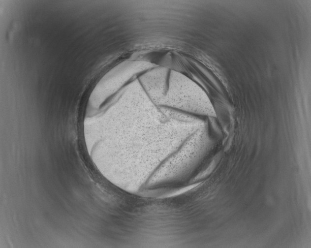 X0000075360578200610061749