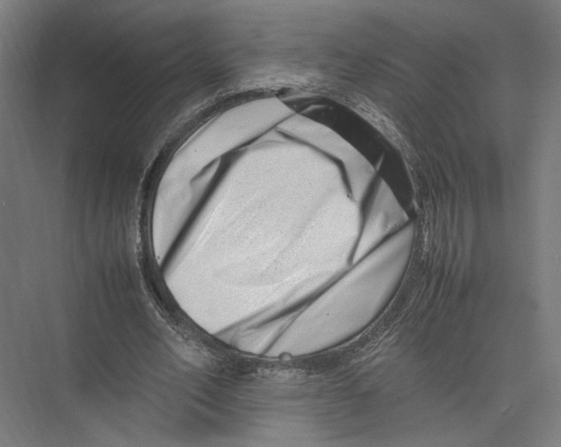 X0000075360582200610061749