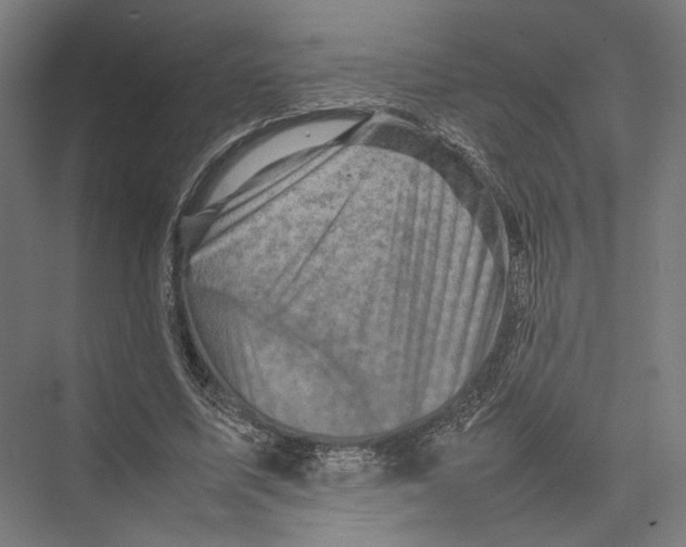 X0000075360587200610061749