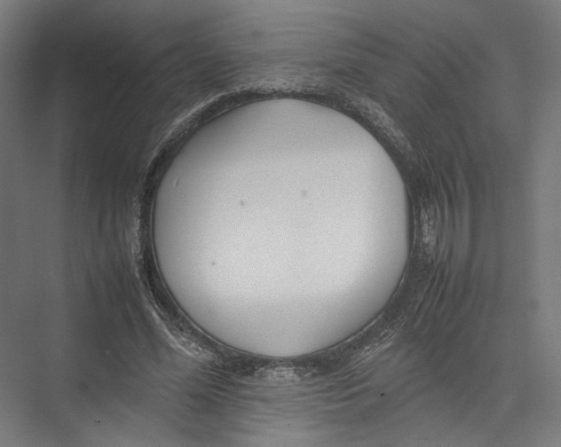 X0000075360588200610061749