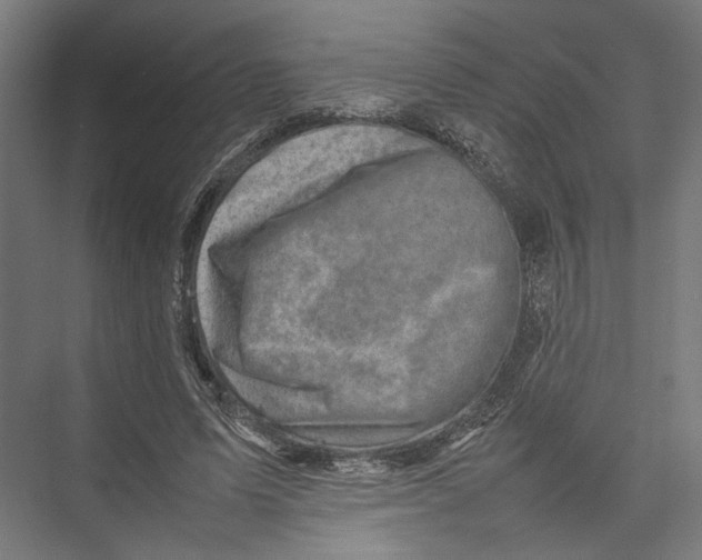 X0000075360591200610061749