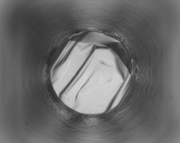 X0000075360594200610061749