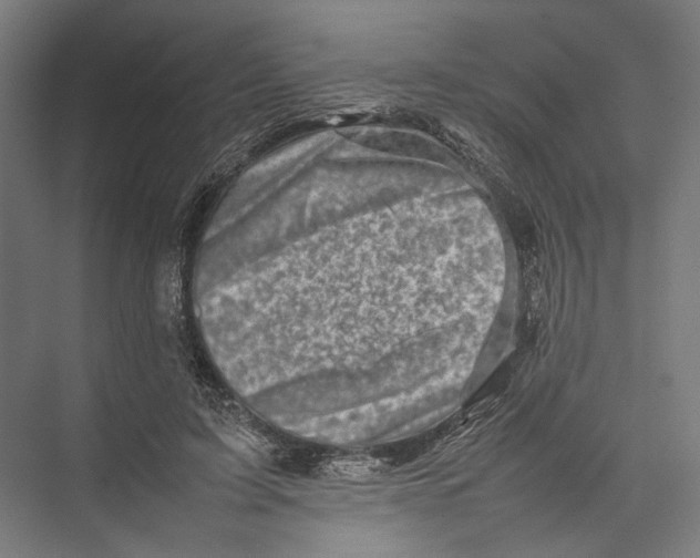 X0000075360595200610061749