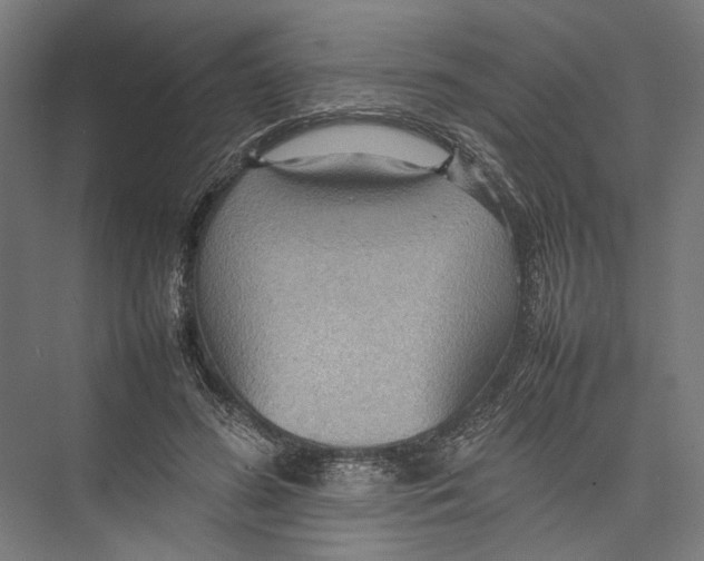 X0000075360596200610061749