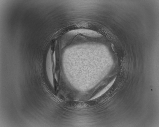 X0000075360600200610061749