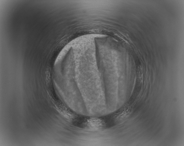 X0000075360603200610061749