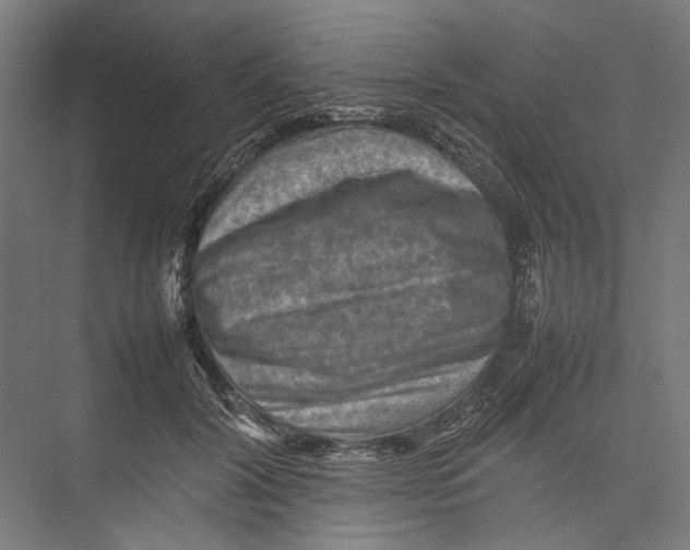 X0000075360604200610061749