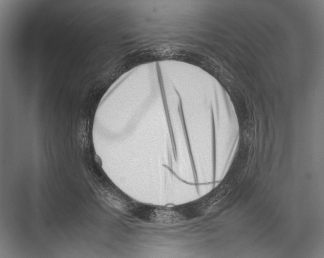 X0000075360605200610061749