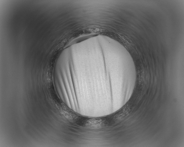 X0000075360606200610061748