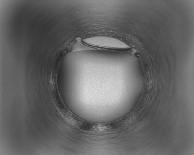 X0000075360607200610061748