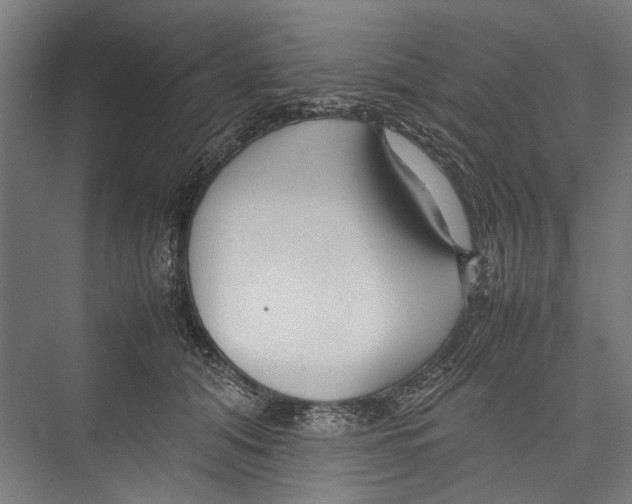 X0000075360608200610061748