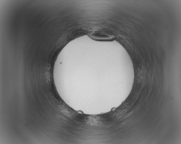 X0000075360612200610061748