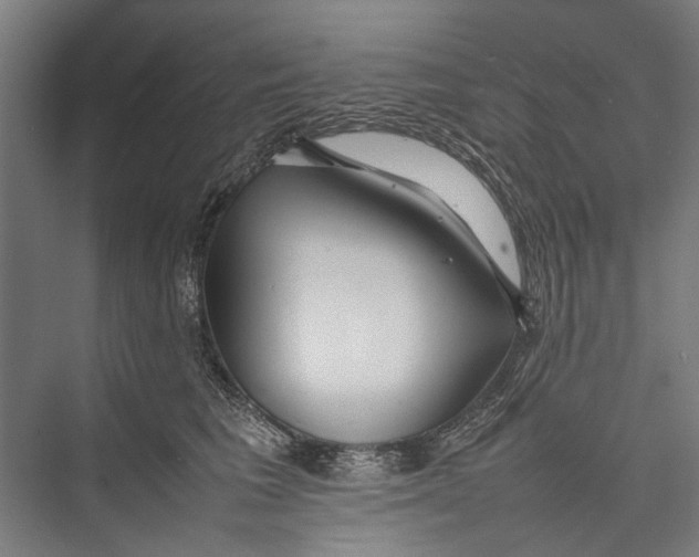 X0000075360613200610061748