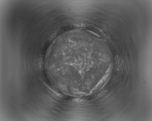 X0000075360614200610061748