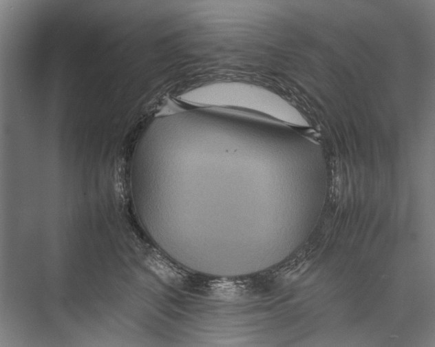 X0000075360616200610061748