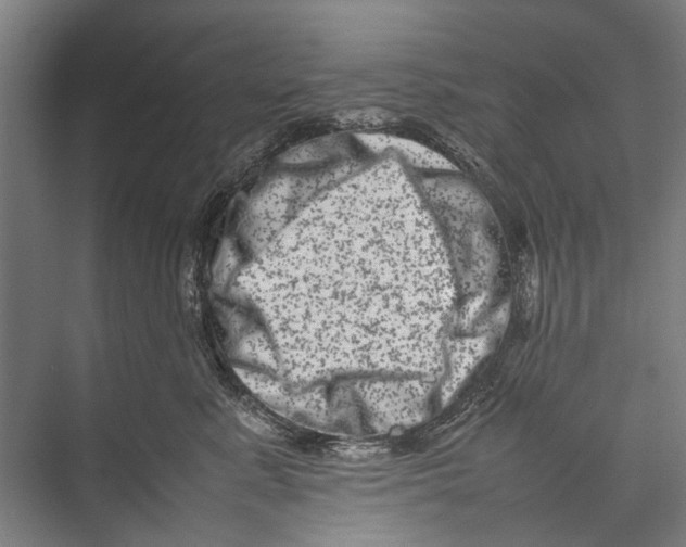 X0000075360619200610061748