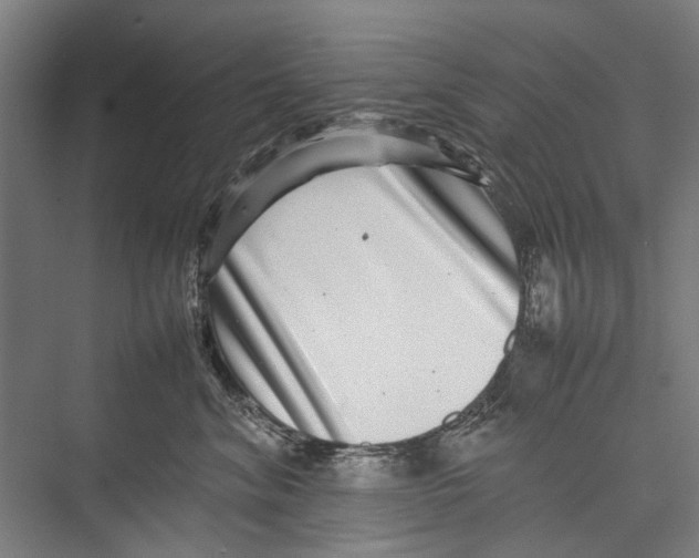 X0000075360620200610061748